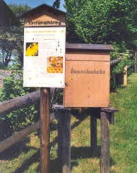 Eine Schautafel am Bienenlehrpfad